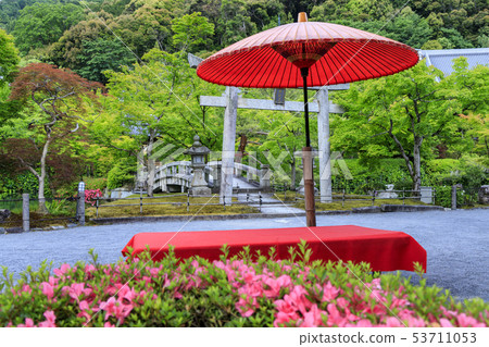 Eikando fresh green 53711053