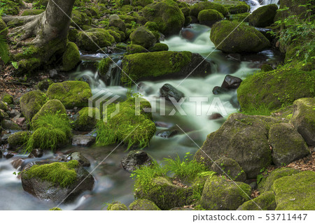Oku Oyama Kitanizawa mountain stream June 53711447