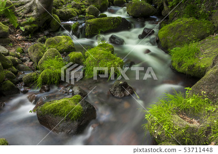 Oku Oyama Kitanizawa mountain stream June 53711448