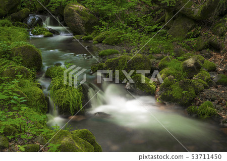 Oku Oyama Kitanizawa mountain stream June Oku Oyama Kitanizawa mountain stream June 53711450