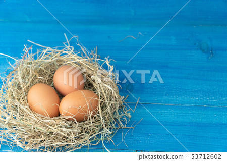 Fresh brown chicken eggs in hay nest on blue Fresh brown chicken eggs in hay nest on blue 53712602