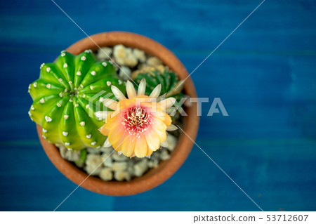 top view of Yellow, orange and red color of top view of Yellow, orange and red color of 53712607