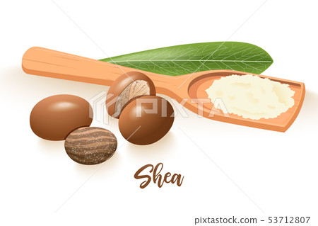 Ripe shea nuts and leaf. shi tree pods whole and Ripe shea nuts and leaf. shi tree pods whole and 53712807