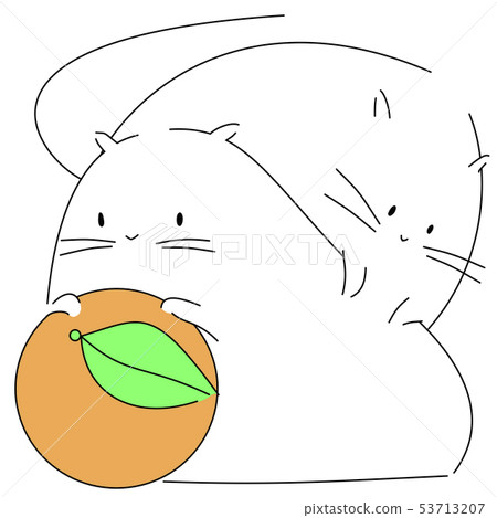 Daidai and two rats (black line, black eyes) 53713207