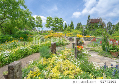 Garden Museum Hiei 5027 53713393