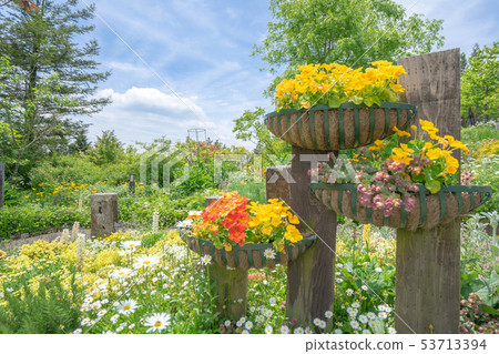 Garden Museum Hiei 5024 53713394