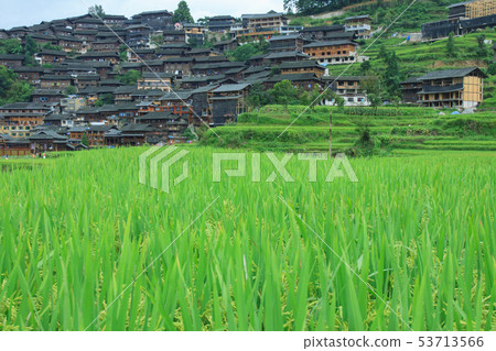 千戶苗寨,中國,貴州省 53713566