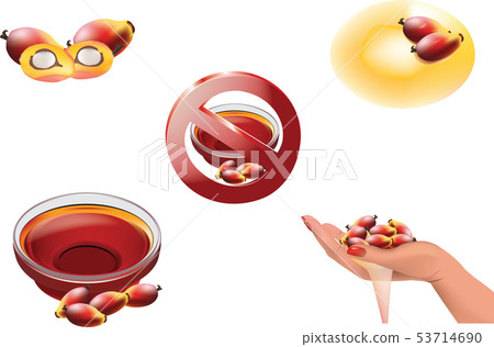 processing and transformation of palm seeds into o 53714690