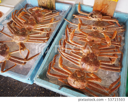 Photograph of fish market in Japan (crab) 53715503