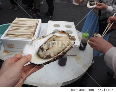 Raw oysters from the fish market in Japan 53715507