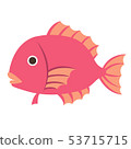 Creature / Fish / Salmon 53715715