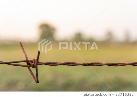 Barbed wire with blur nature background with copy Barbed wire with blur nature background with copy 53716383