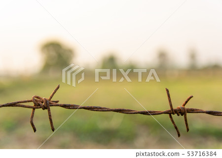 Barbed wire with blur nature background with copy 53716384