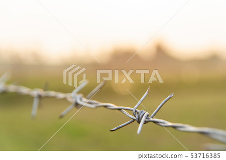 Barbed wire with blur nature background with copy 53716385