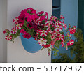 Traditional greek style flower decoration on the street 53717932