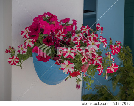 Traditional greek style flower decoration on the street 53717932