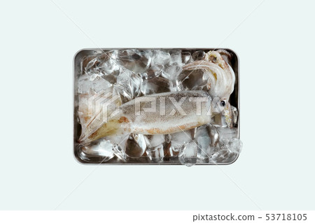 Fresh squid, squid object 53718105