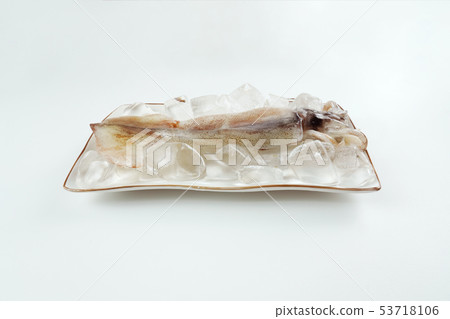 鮮魷魚,魷魚對象 鮮魷魚,魷魚對象 53718106