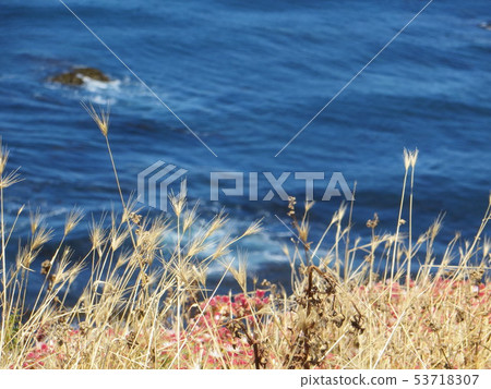 Blue Sea Blue Sea 53718307