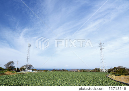 Field (spring) 53718346