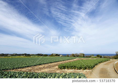 Field (spring) 53718370