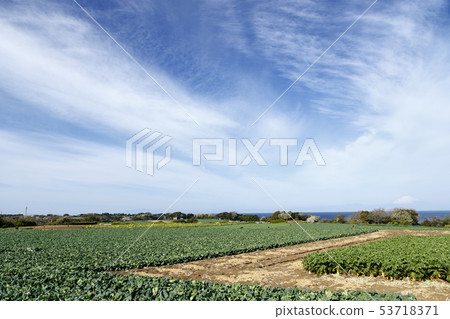Field (spring) 53718371