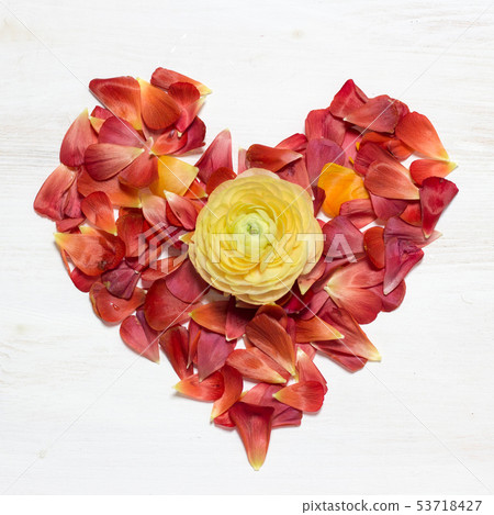 Heart made from red petals Heart made from red petals 53718427