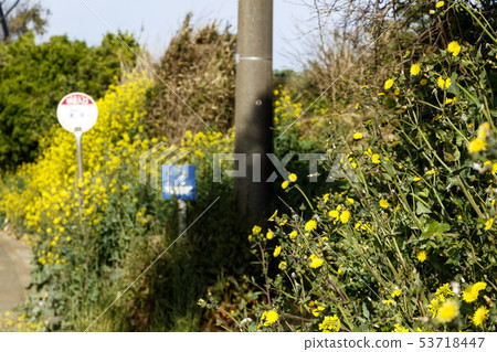 Road (spring) Road (spring) 53718447