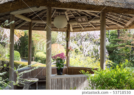 Myoshinji Rezo-in, Yuukamochi noya, Spring 53718530