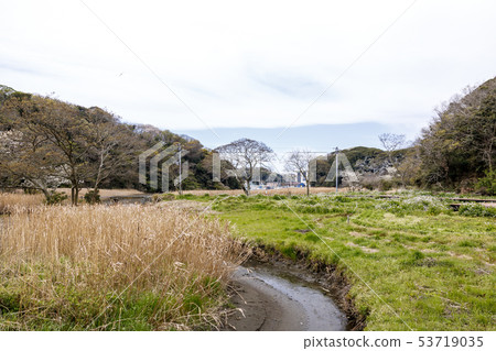 濕地(春天) 濕地(春天) 53719035