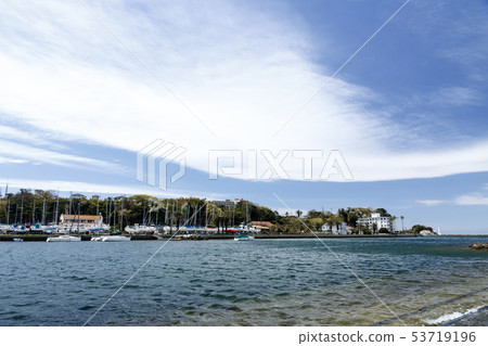 諸葛（春天） 53719196