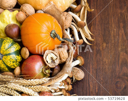 Autumn background 53719628