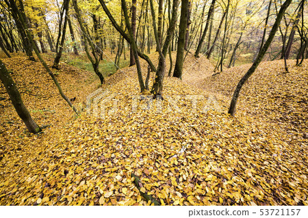 Beautiful autumn landscape Beautiful autumn landscape 53721157