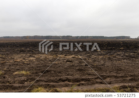 Agricultural landscape Agricultural landscape 53721275
