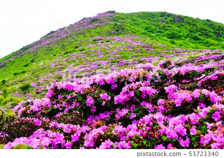 Miyama Kirishima in the hills of Mt. Miyama Kirishima in the hills of Mt. 53721340