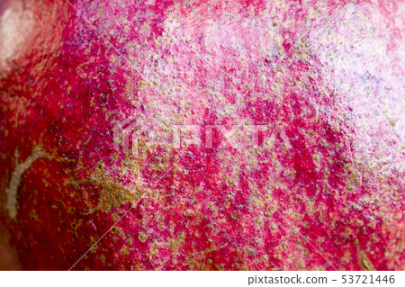 Red Pomegranate Red Pomegranate 53721446