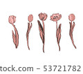 Realistic vector tulips set. Not trace. 53721782