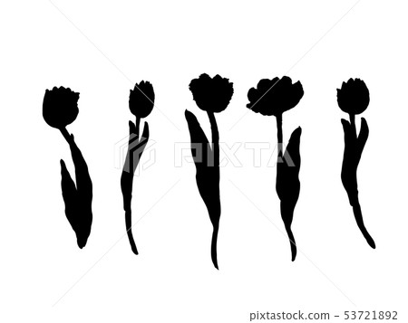 Set of isolated silhouette Tulip in 30 styles.  53721892