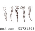 Collection of hand drawn graphic tulips.  53721893
