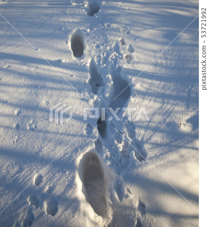 Footprints of a man Footprints of a man 53721992