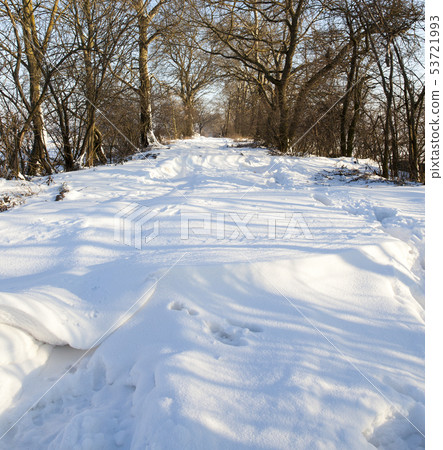 Snow drifts in winter Snow drifts in winter 53721993