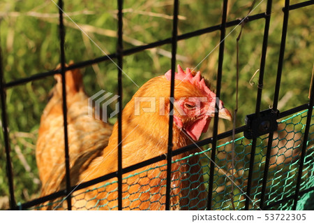 財政部瓚 財政部瓚 53722305