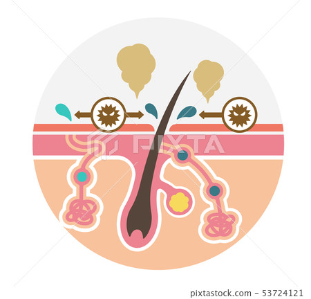 Illustration of the cause of the generation of odor caused by odor 53724121