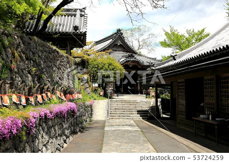 Kinseizan Myoshinuji-12 53724259