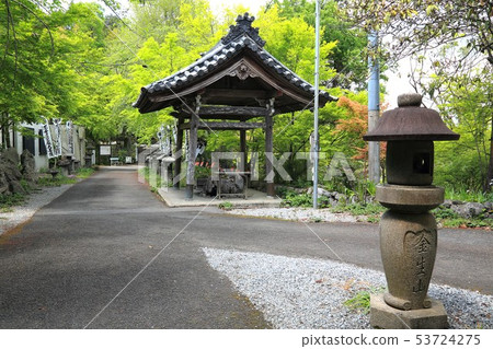 Kinseizan Myoshinuji-28 Kinseizan Myoshinuji-28 53724275