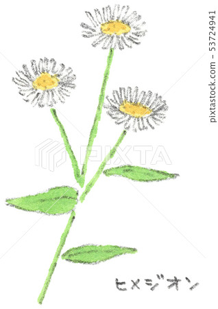 Himgeon Himgeon 53724941