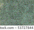 草坪 53727844