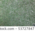 草坪 53727847