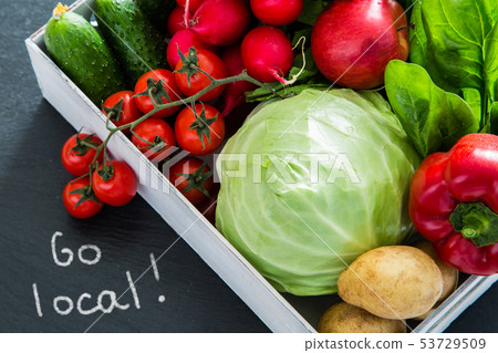 Selection of fresh vegetables from farmers market 53729509