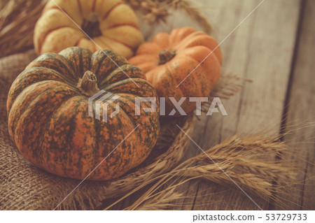 Thanksgiving decorations on rustic background 53729733